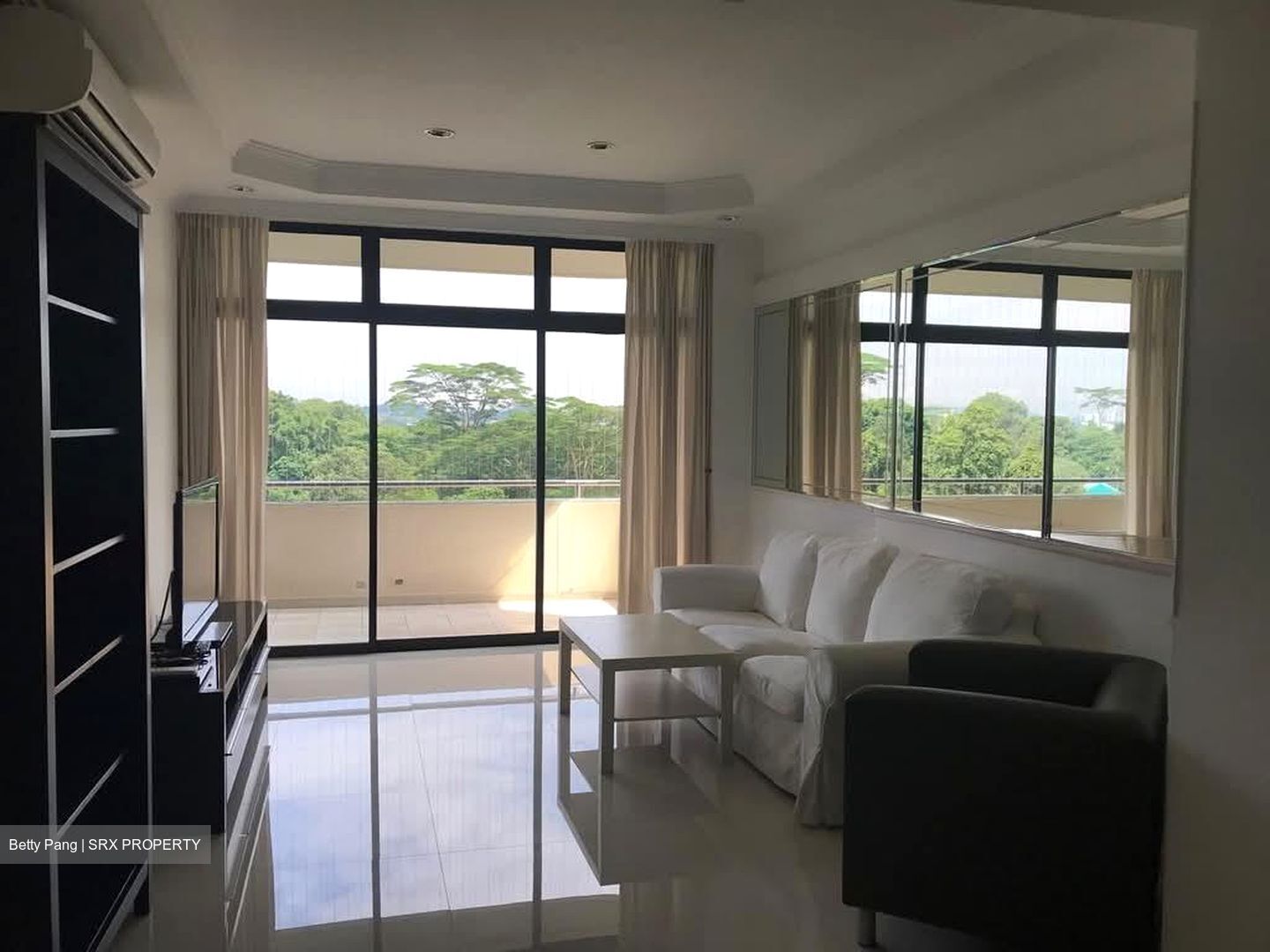 Allsworth Park (D10), Condominium #535281431